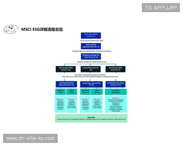 ESG评价体系正在本周期内深度融入体育项目的价值发现过程